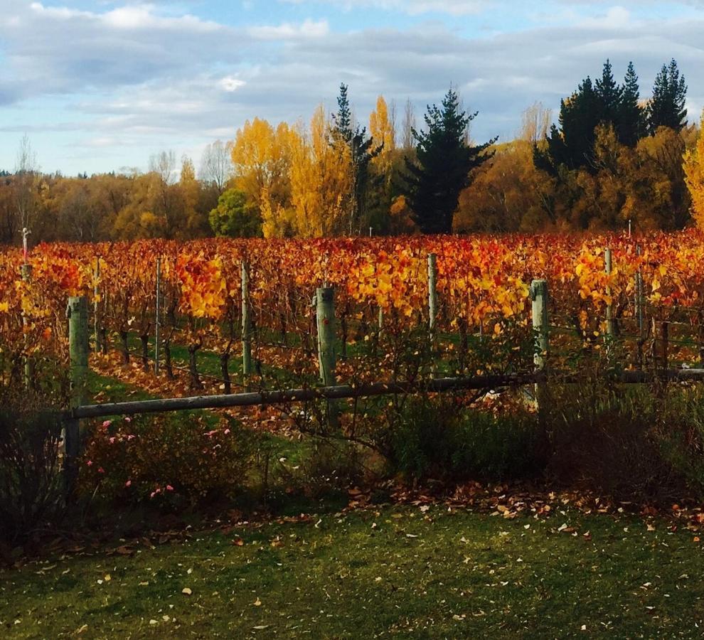 'The Crib' On Legacy Vineyard Villa Alexandra Værelse billede